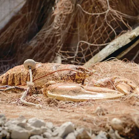 Bartulovici Iv Apartman *