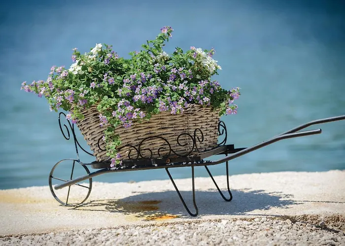 شقة Bartulovici Iv بلاتشي